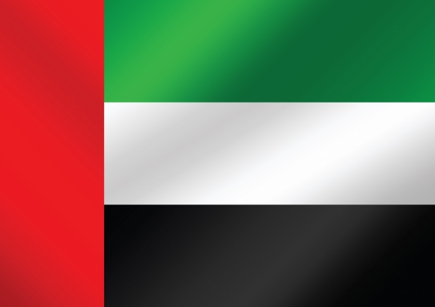 https://coredoadvisory.store/wp-content/uploads/2025/06/the-united-arab-emirates-flag-themes-1588673796kap.jpg